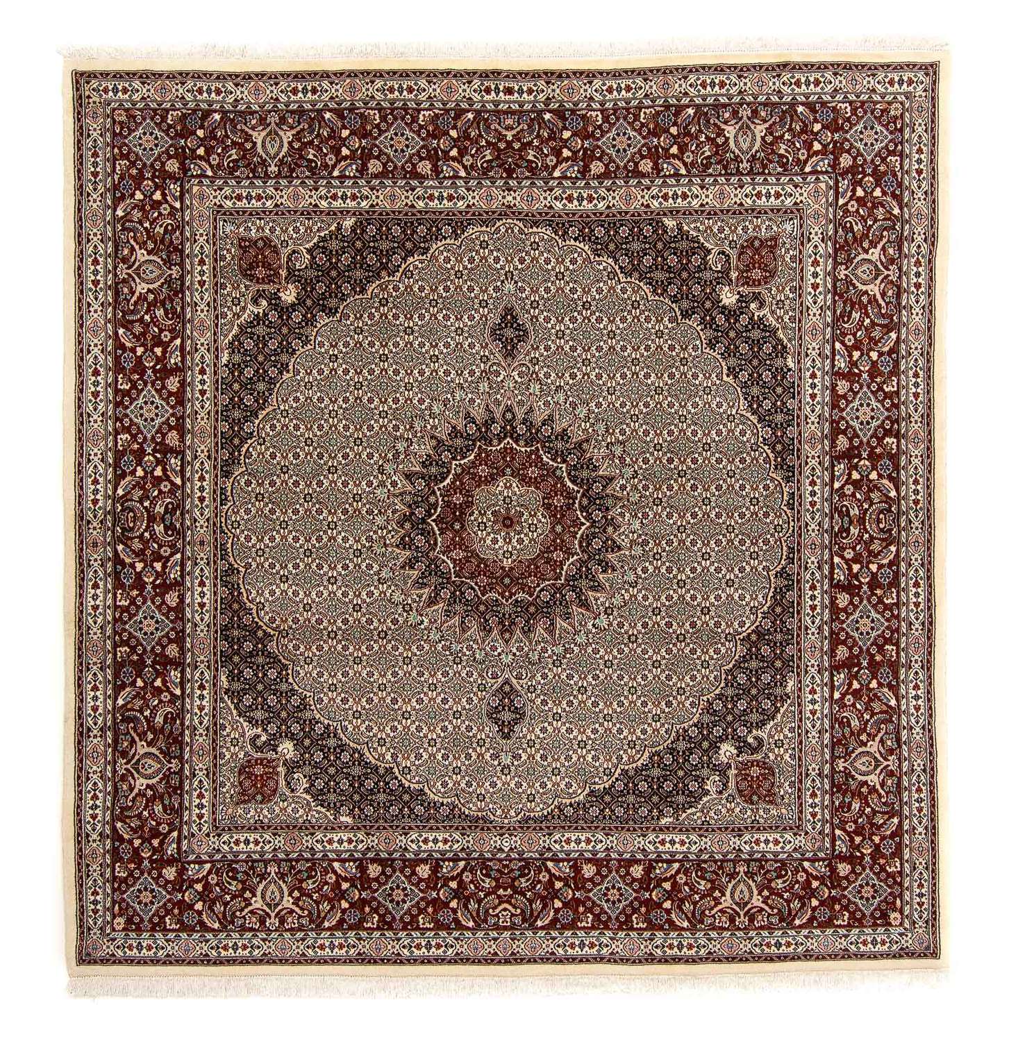 Perský koberec - Klasický čtvercový  - 262 x 250 cm - světle hnědá