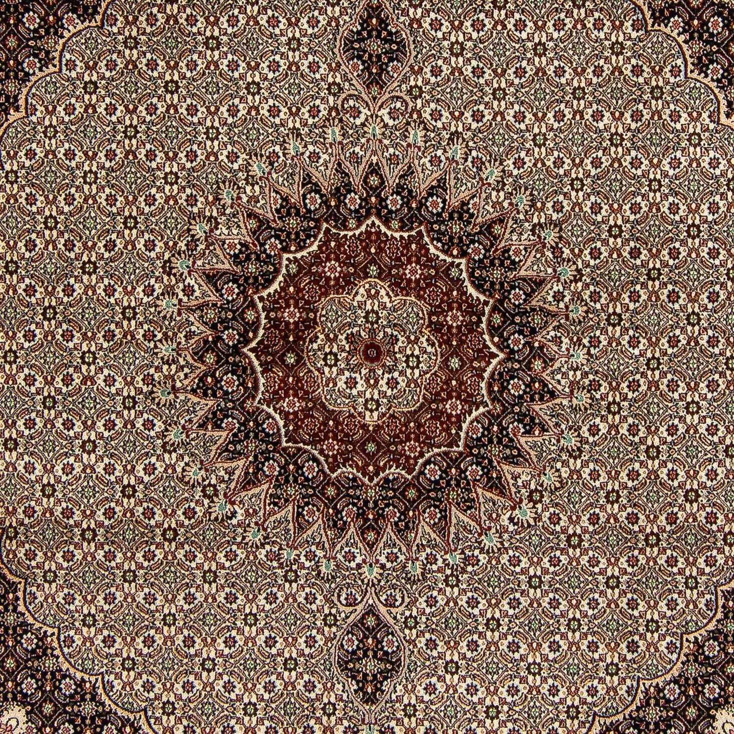 Persisk tæppe - Classic firkantet  - 262 x 250 cm - lys brun
