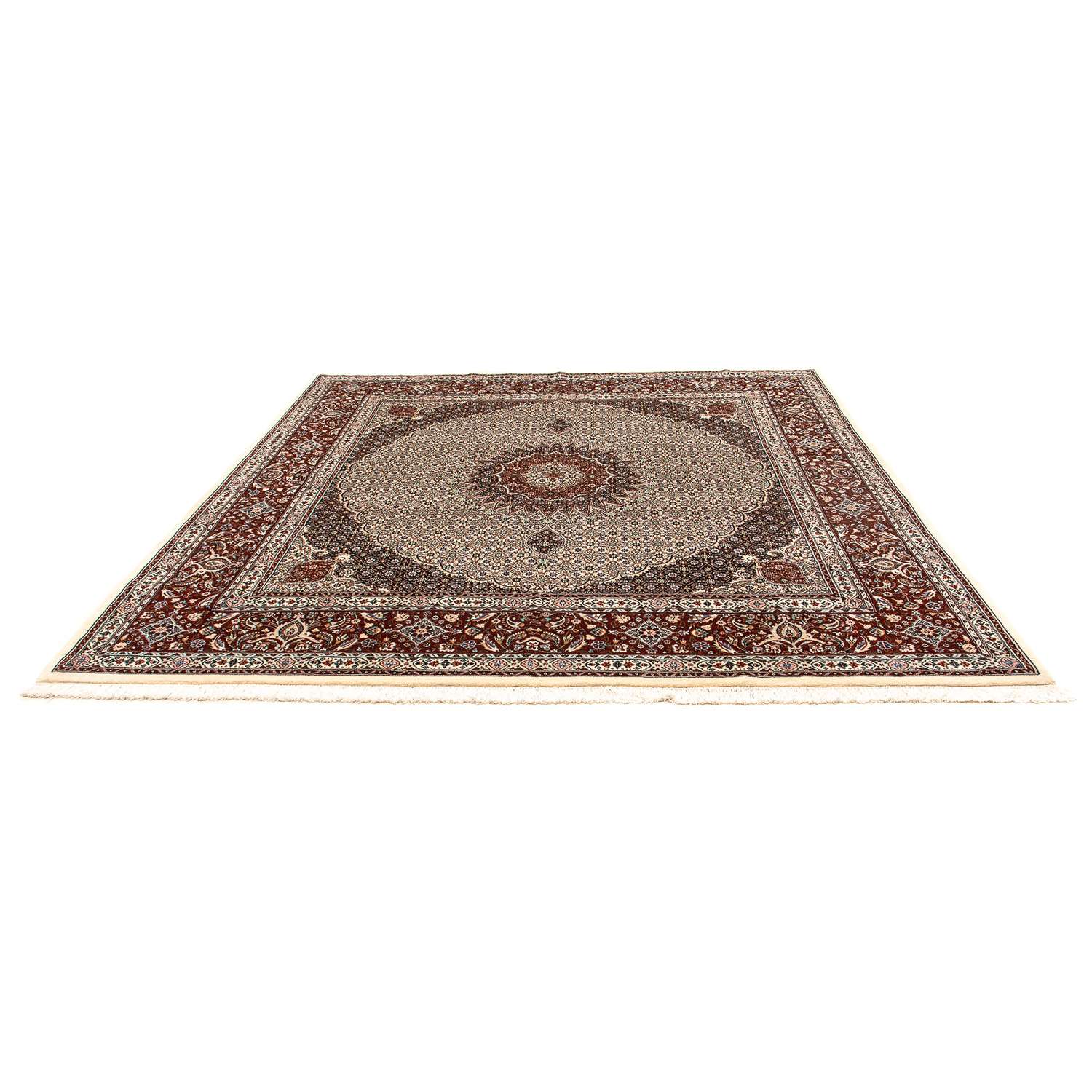 Persisk matta - Classic kvadrat  - 262 x 250 cm - ljusbrun