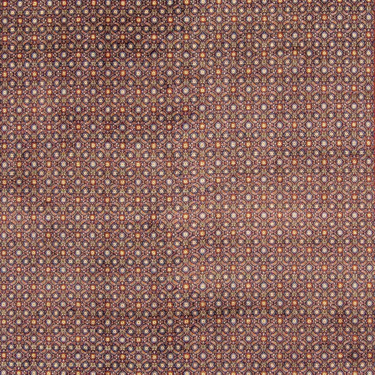 Tapete Persa - Clássico - 346 x 246 cm - castanho escuro