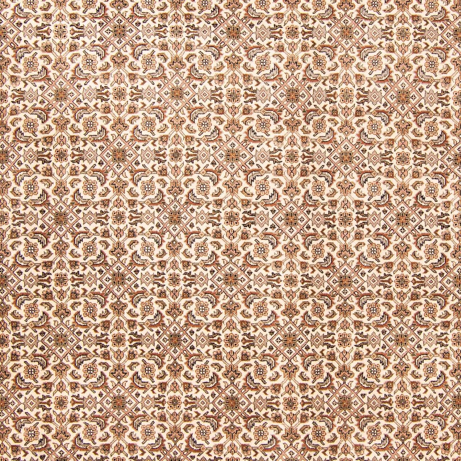 Alfombra oriental - Bidjar - Indus - 303 x 248 cm - beige