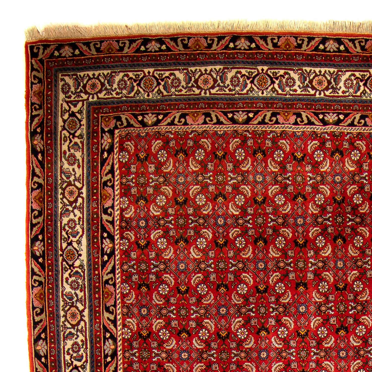 Tapis persan - Bidjar - 300 x 204 cm - rouge