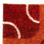 Hoogpolig tapijt - 316 x 220 cm - bruin