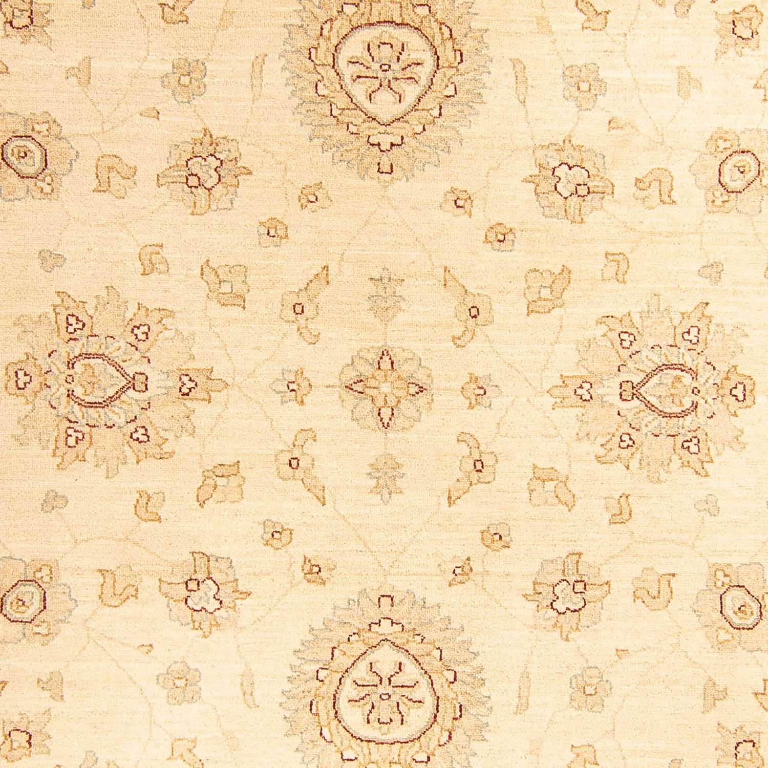 Zieglerův koberec - 294 x 202 cm - béžová