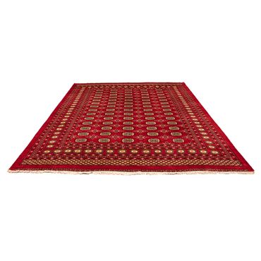 Pakistaans tapijt - 320 x 248 cm - rood