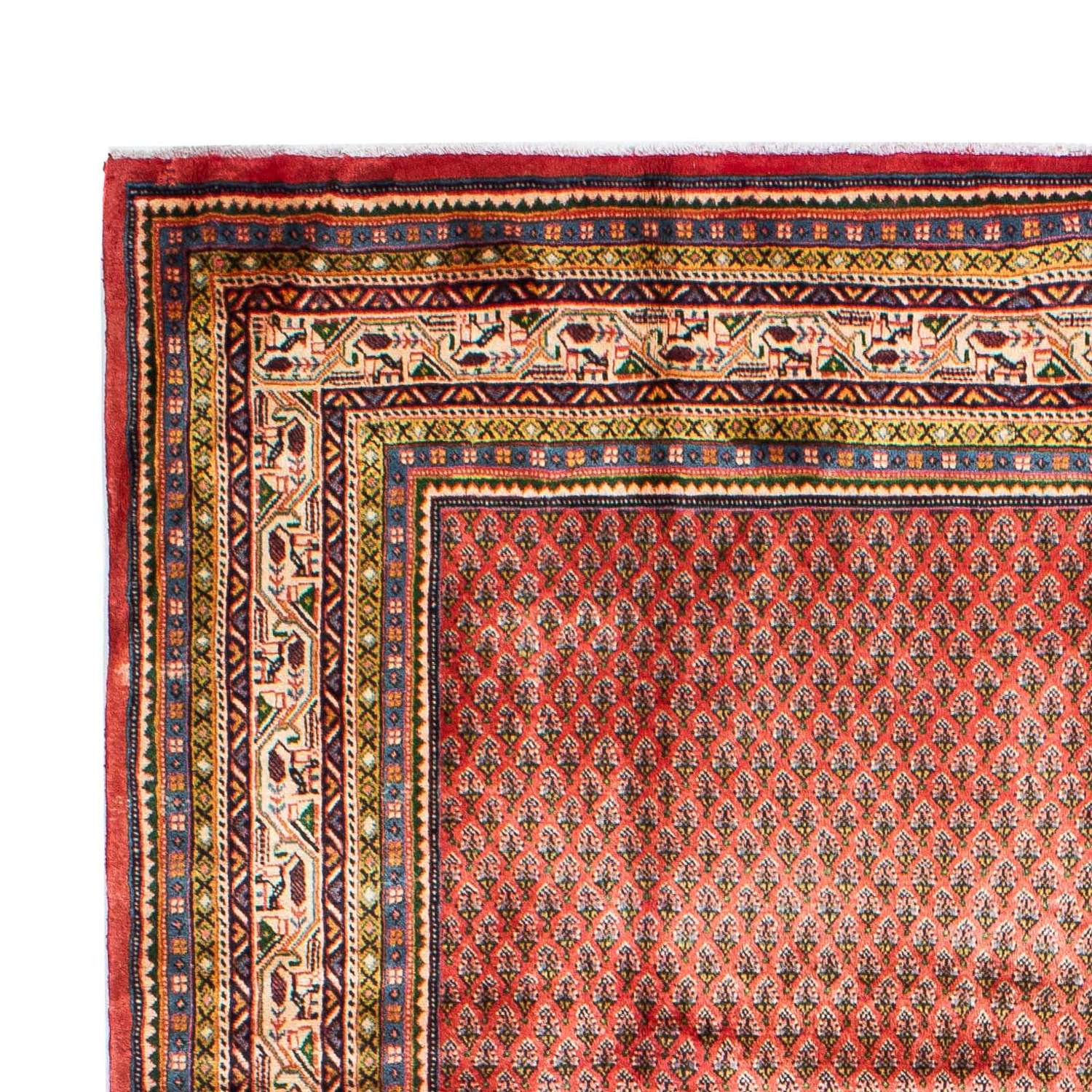 Persisk tæppe - Mir - 310 x 215 cm - mørkerød