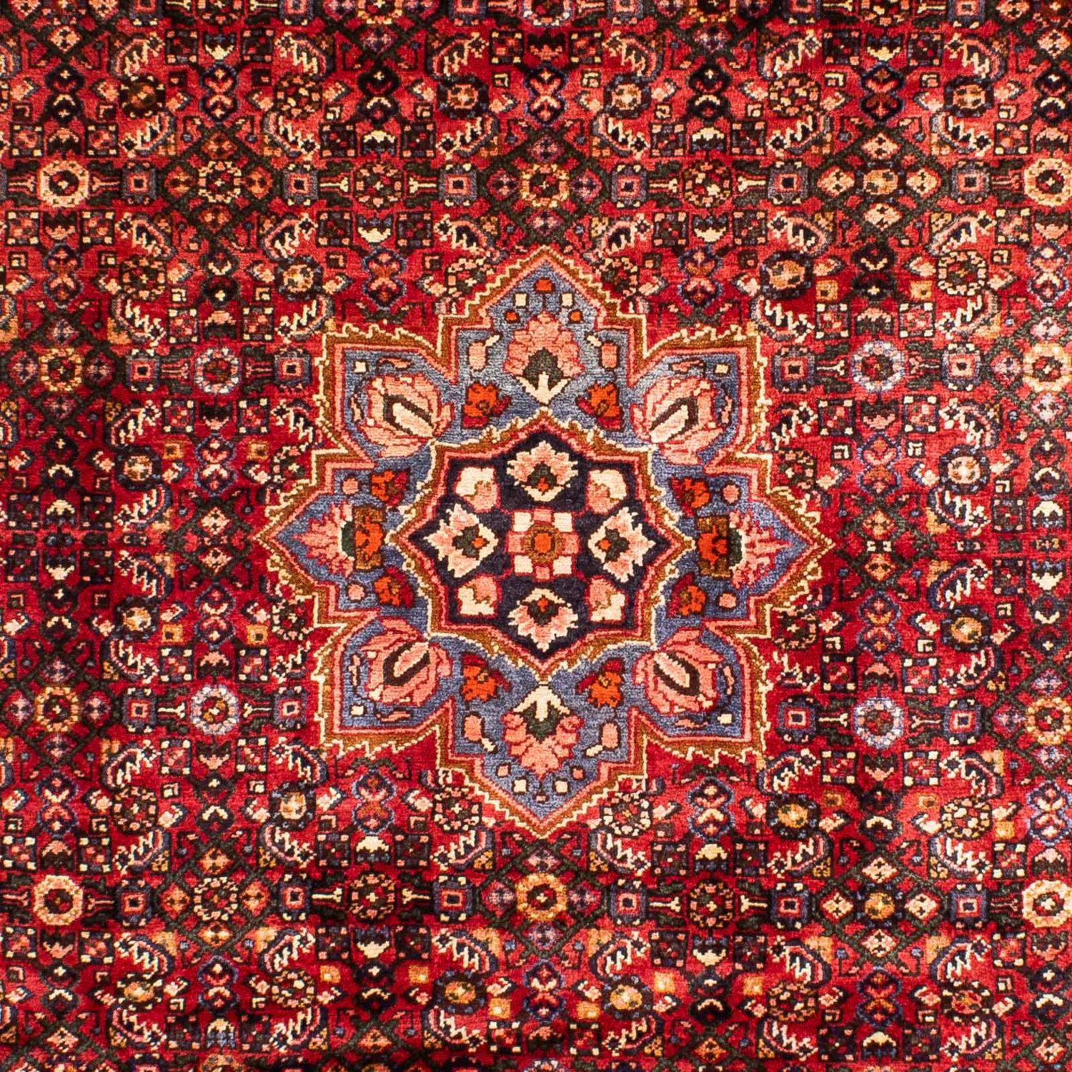 Tapete Persa - Nomadic - 299 x 214 cm - vermelho escuro