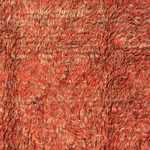 Hoogpolig tapijt - 300 x 206 cm - veelkleurig
