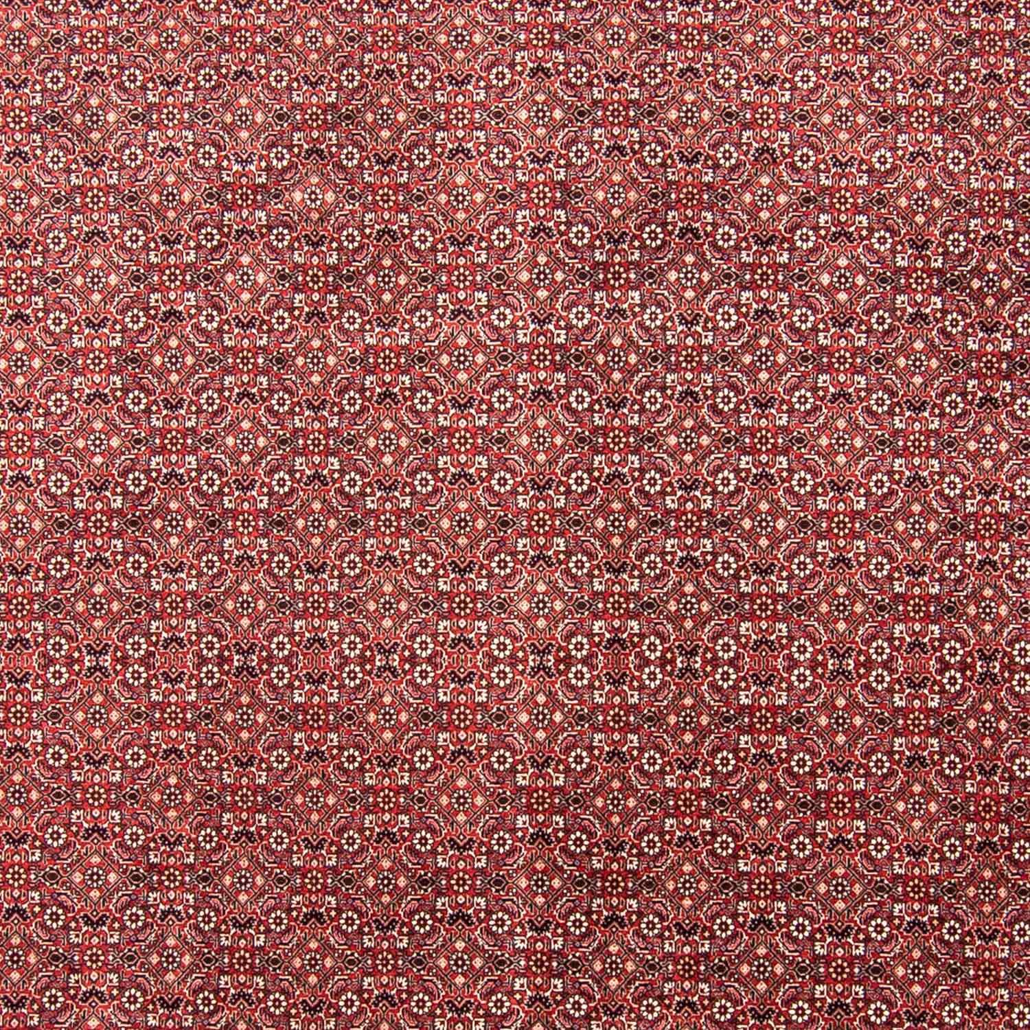 Alfombra persa - Bidjar - 350 x 245 cm - rojo