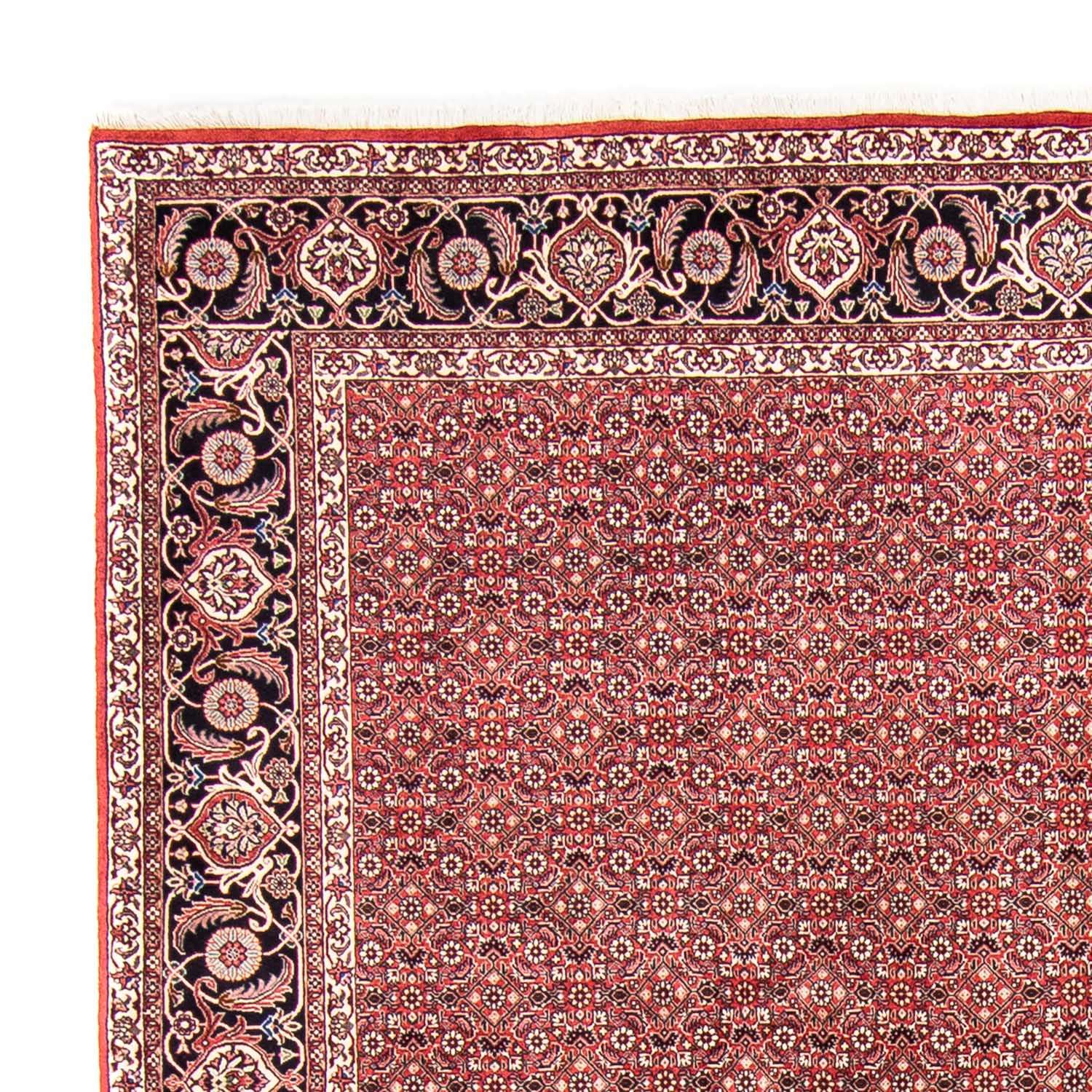 Tapis persan - Bidjar - 350 x 245 cm - rouge