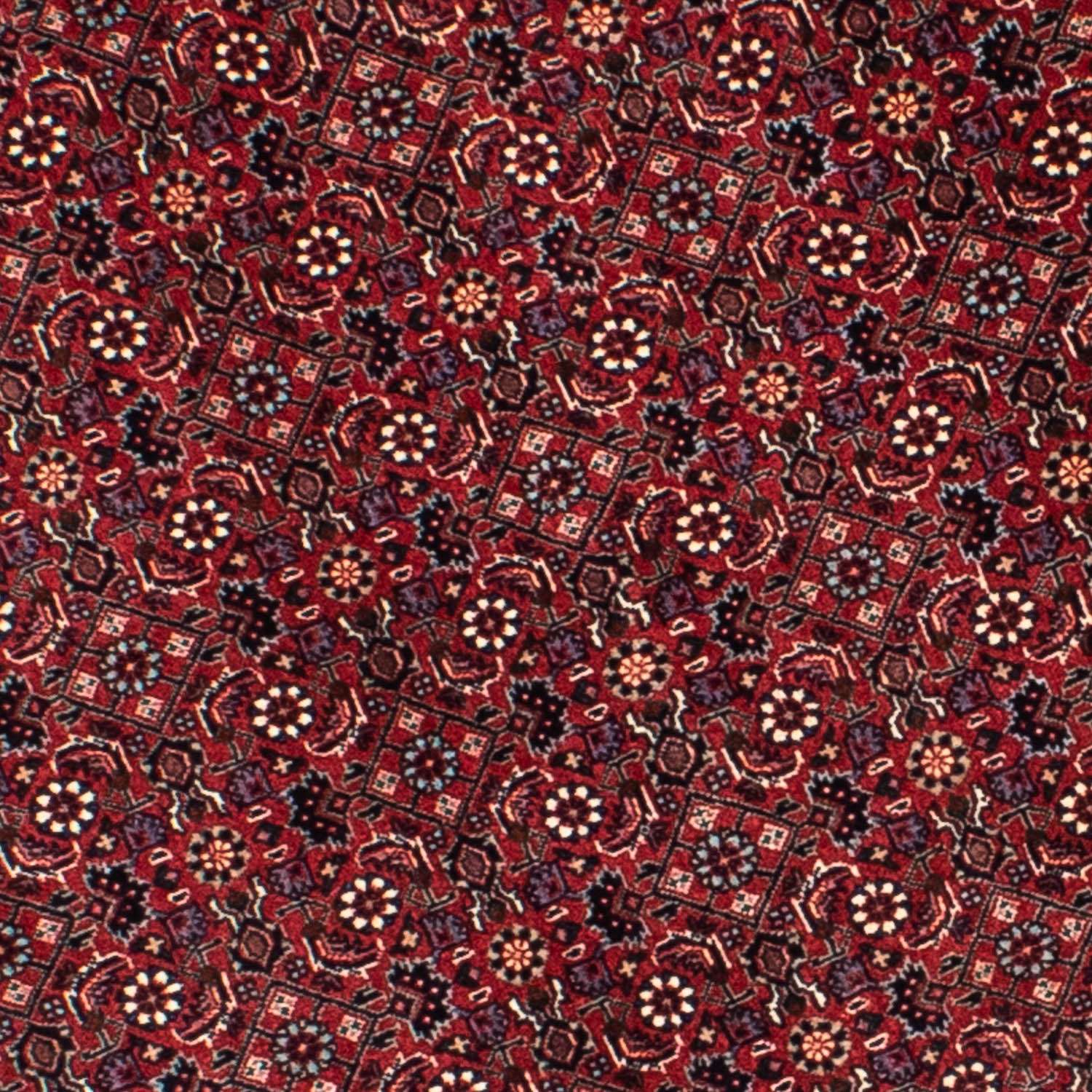 Persisk tæppe - Bijar rundt  - 155 x 155 cm - mørkerød