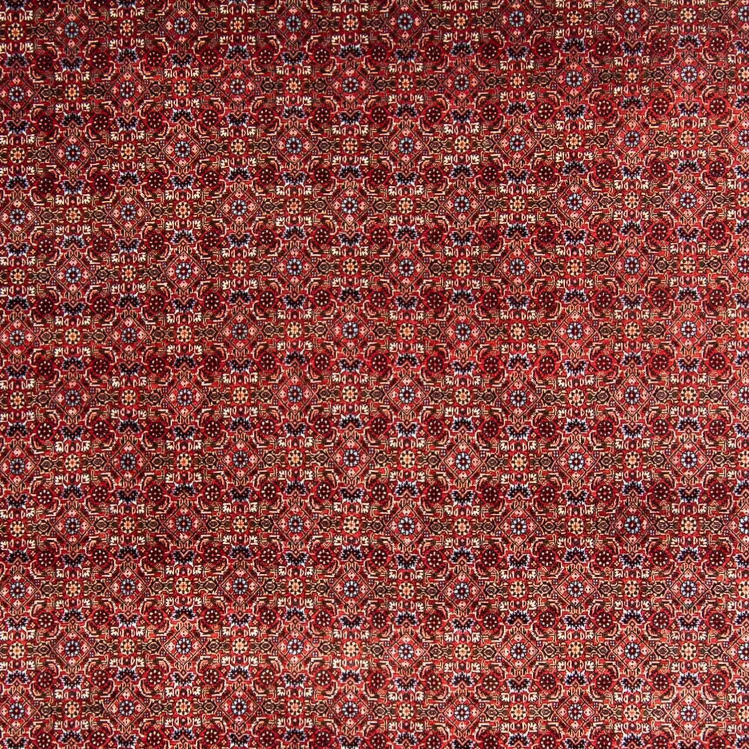 Tapete Persa - Bijar - 350 x 250 cm - vermelho escuro