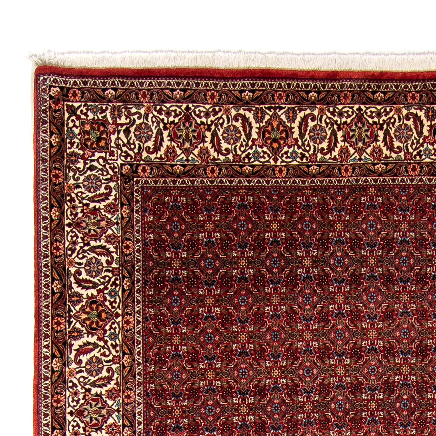 Tapis persan - Bidjar - 350 x 250 cm - rouge foncé