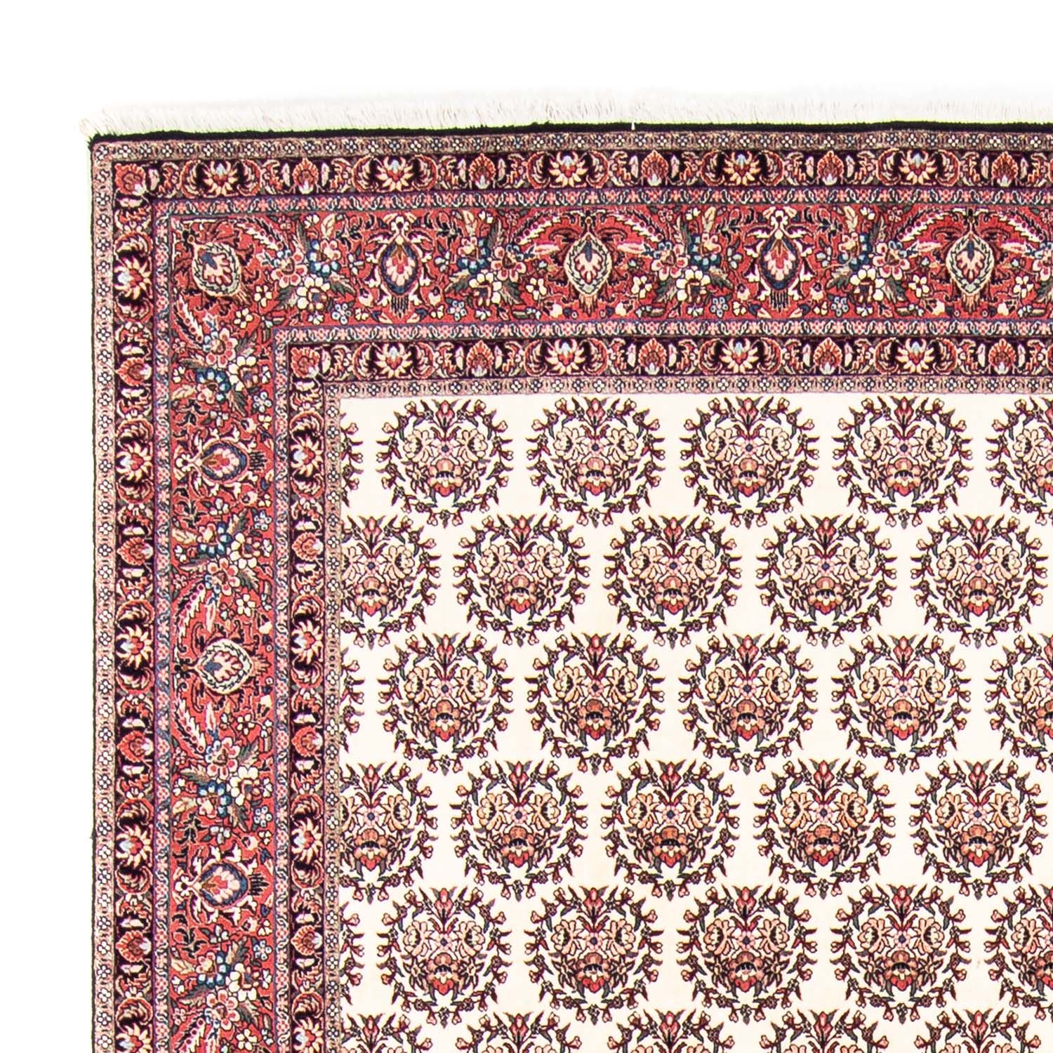 Tappeto Persero - Bidjar - 353 x 253 cm - beige