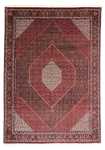 Persisk tæppe - Bijar - 350 x 252 cm - mørkerød