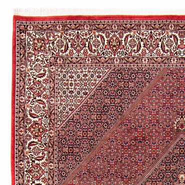 Tapis persan - Bidjar - 298 x 258 cm - rouge