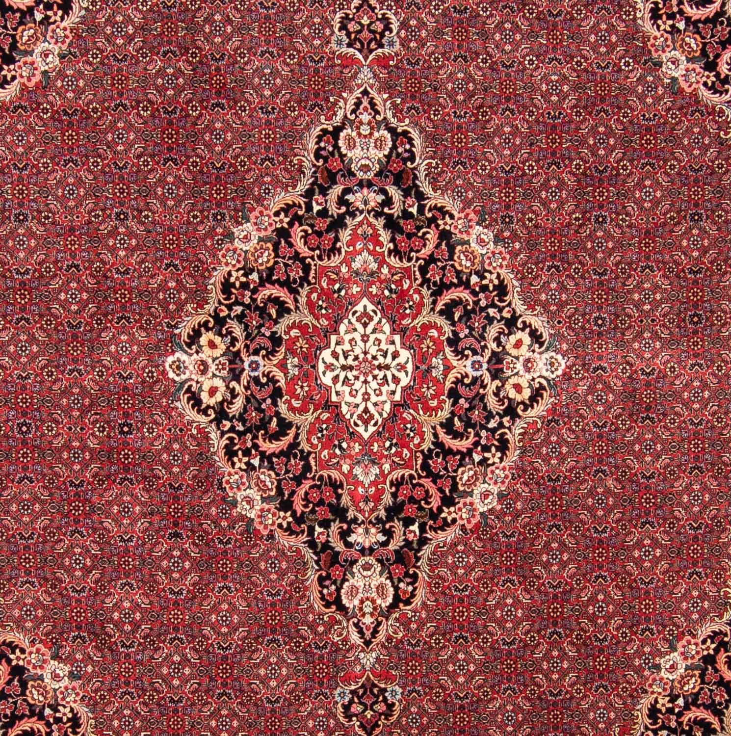 Alfombra persa - Bidjar cuadrado  - 253 x 253 cm - rojo oscuro