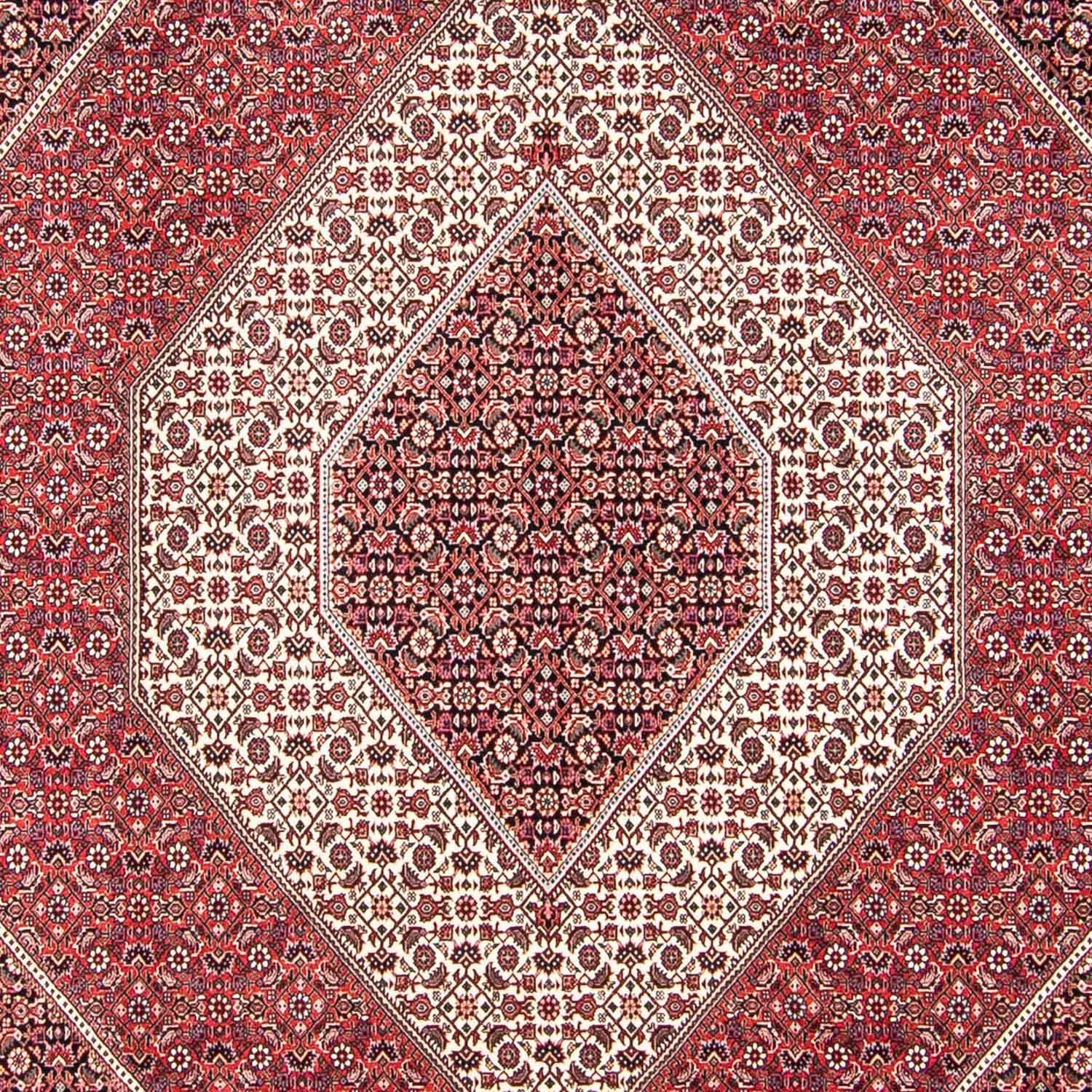 Tapete Persa - Bijar - 312 x 248 cm - vermelho claro