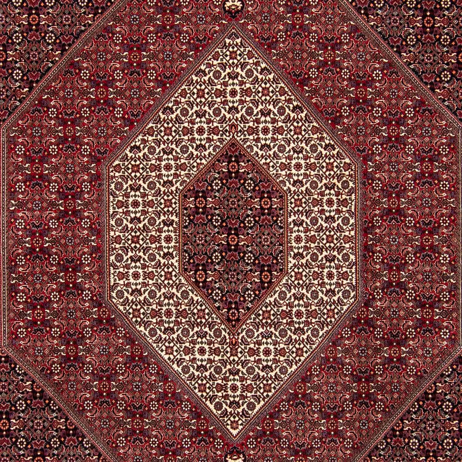 Persisk tæppe - Bijar firkantet  - 250 x 250 cm - mørkerød