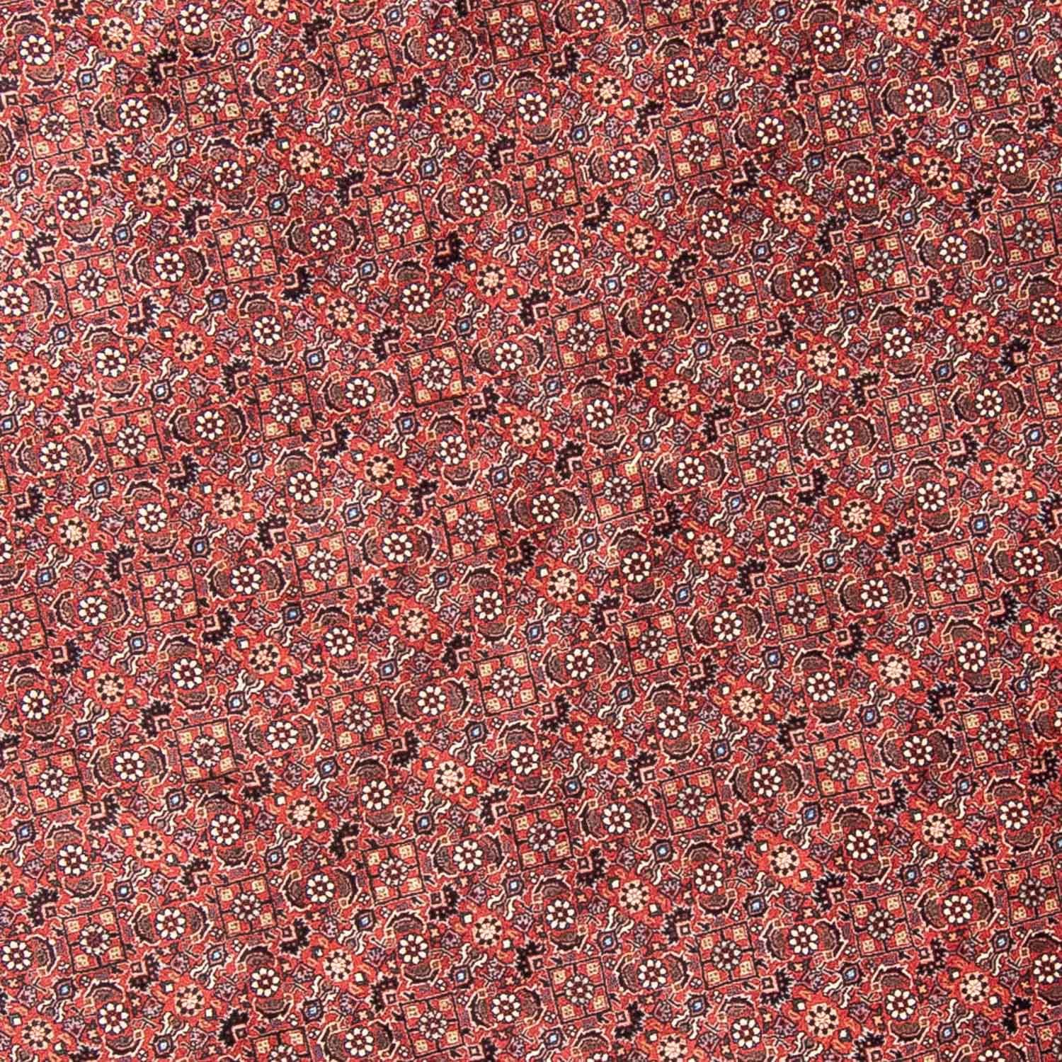 Tappeto Persero - Bidjar rotondo  - 300 x 300 cm - rosso