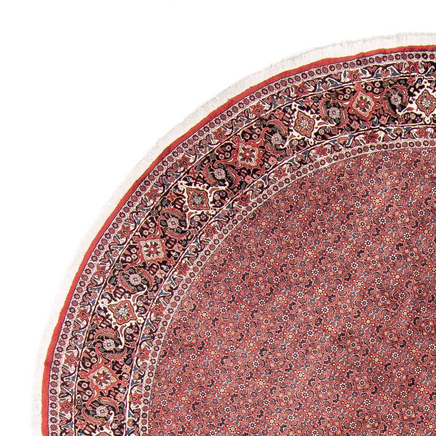 Perzisch tapijt - Bijar rond  - 300 x 300 cm - rood