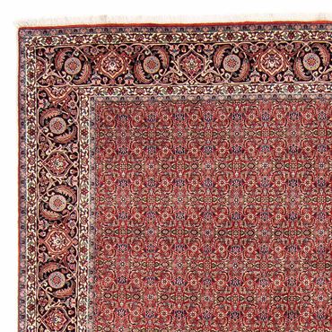 Tapis persan - Bidjar - 300 x 252 cm - rouge foncé