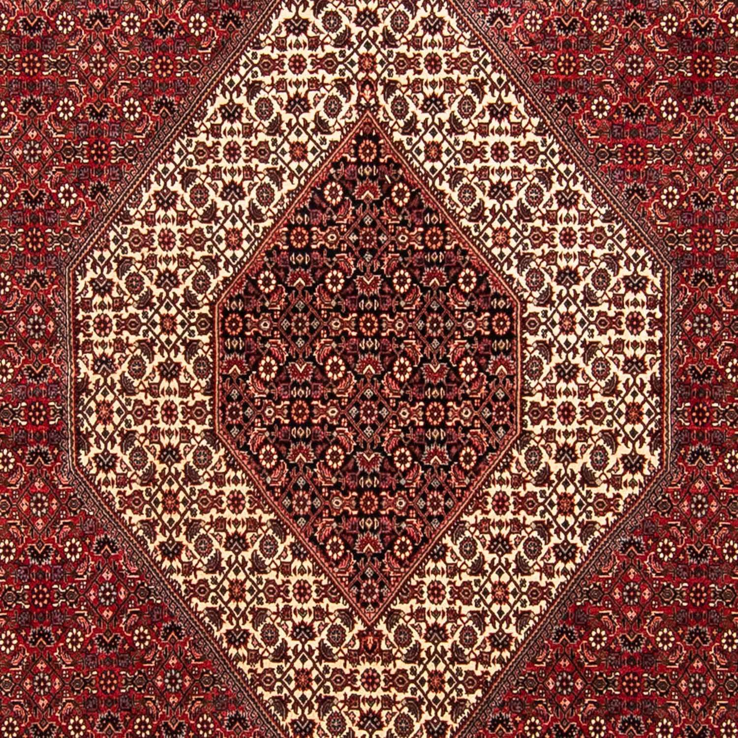 Persisk tæppe - Bijar - 304 x 251 cm - mørkerød