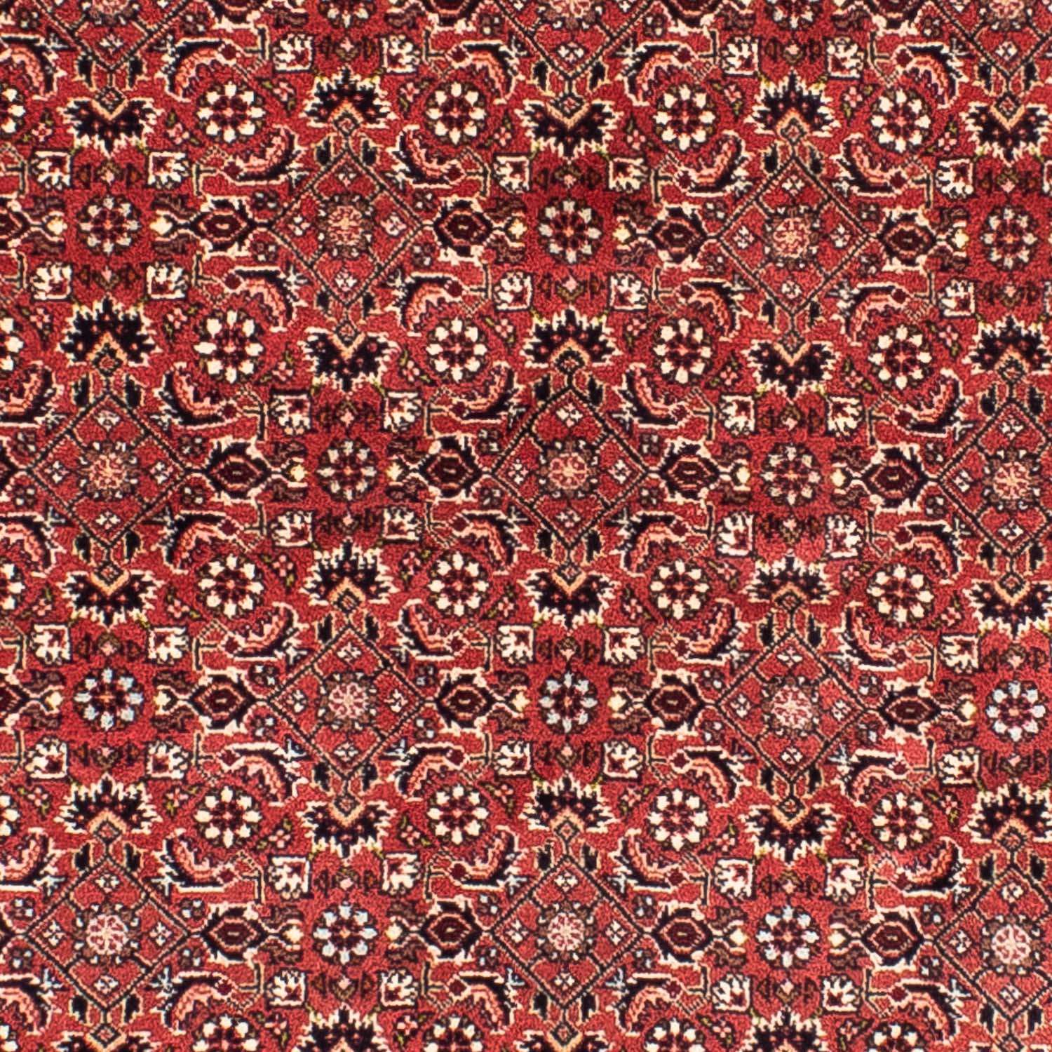 Persisk teppe - Bijar square  - 208 x 200 cm - lys rød
