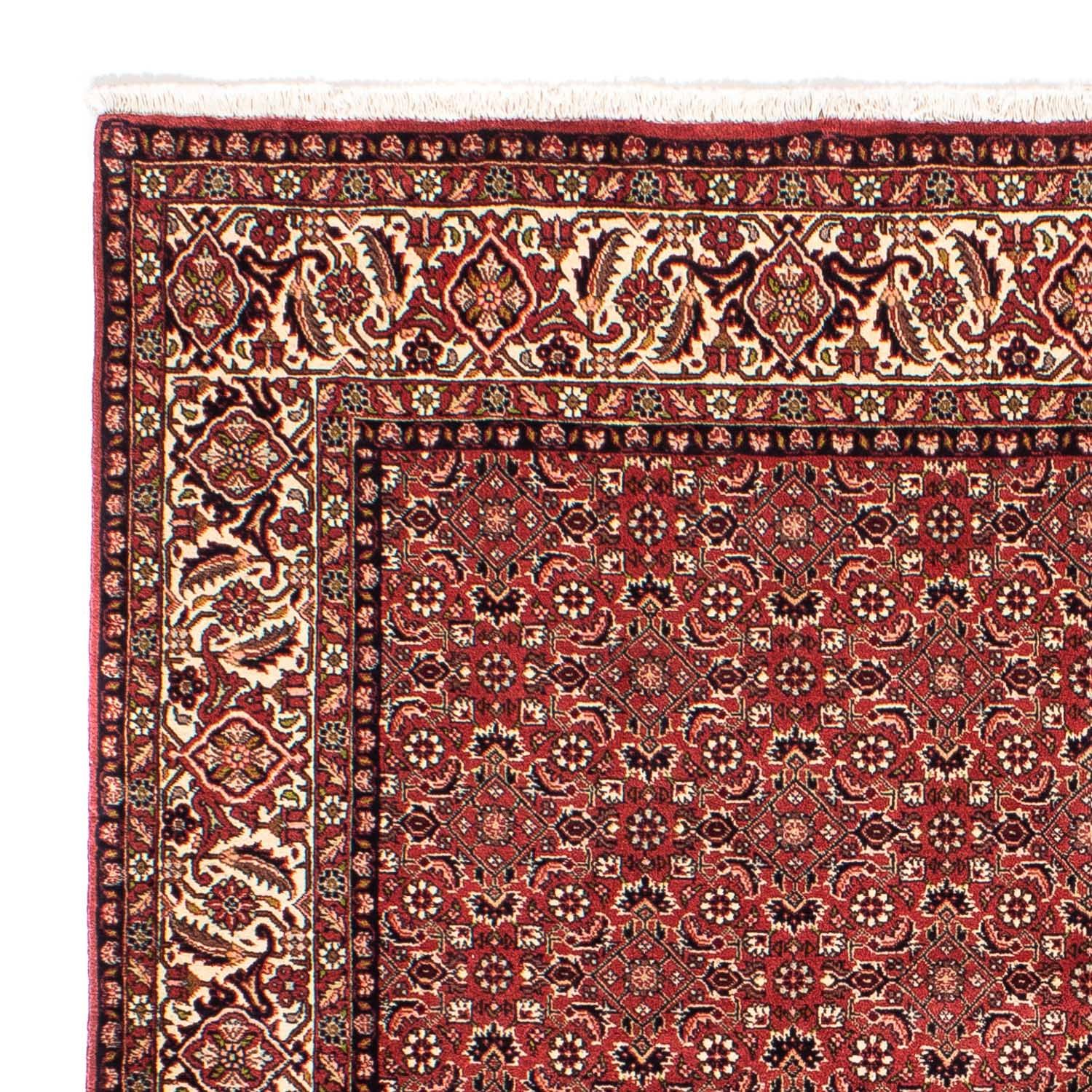 Perser Rug - Bidjar square  - 208 x 200 cm - light red