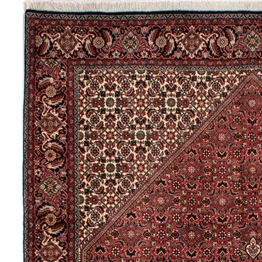 Tapis persan - Bidjar - 300 x 202 cm - marron