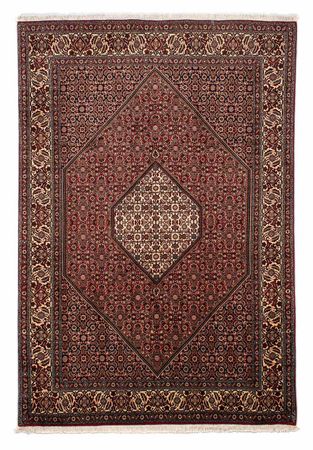 Tapis persan - Bidjar - 288 x 198 cm - marron