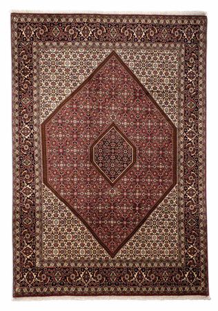 Tapis persan - Bidjar - 292 x 200 cm - marron