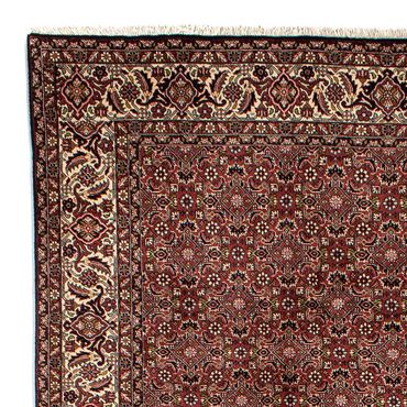 Tapis persan - Bidjar - 292 x 198 cm - marron