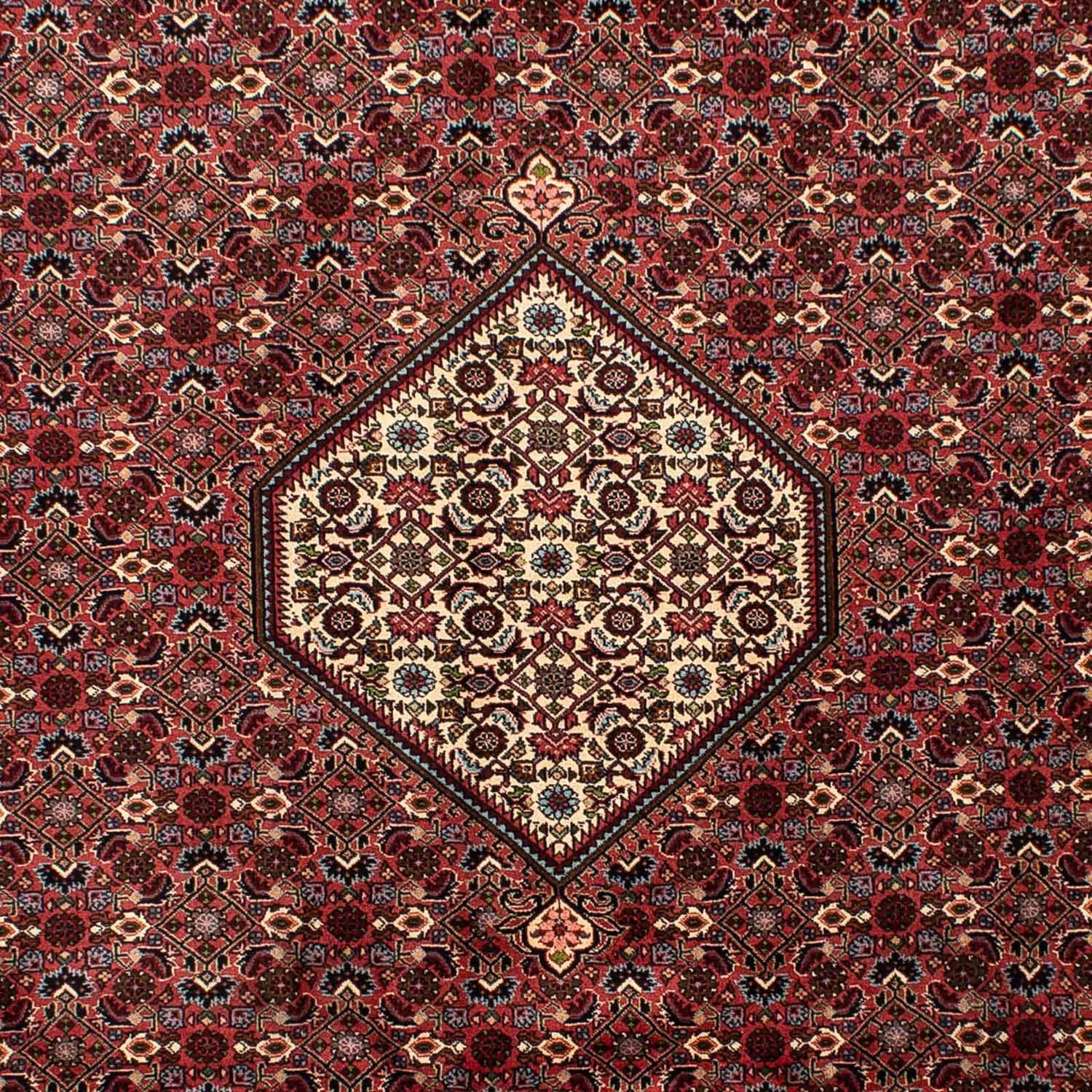 Alfombra persa - Bidjar - 290 x 203 cm - marrón