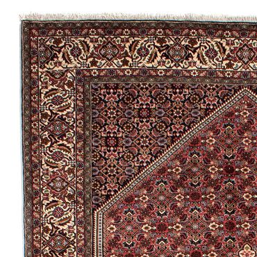 Tapis persan - Bidjar - 290 x 203 cm - marron