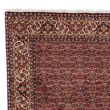 Tapis persan - Bidjar - 298 x 202 cm - marron