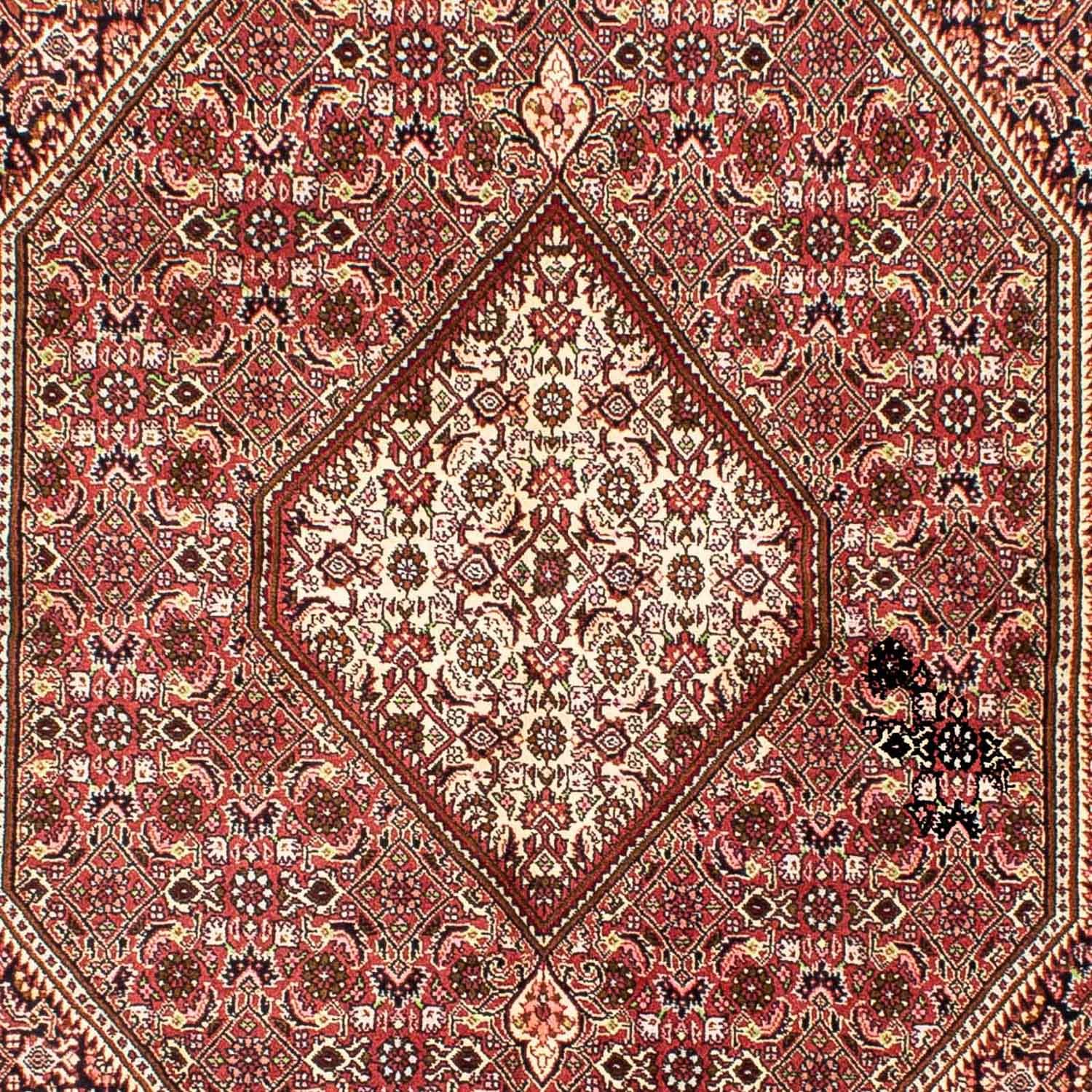 Alfombra persa - Bidjar - 248 x 176 cm - rojo claro