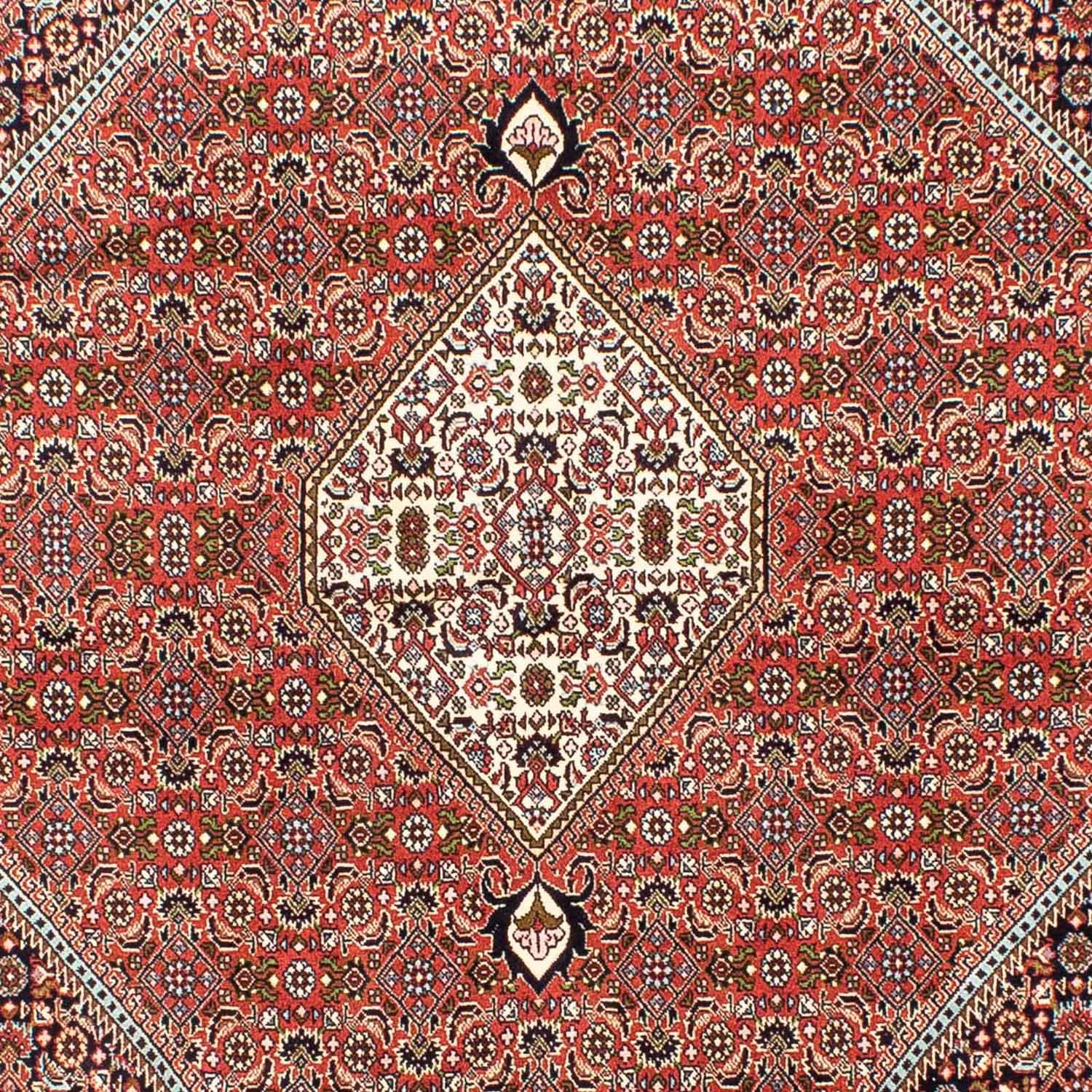 Tapis persan - Bidjar - 253 x 174 cm - rouge clair