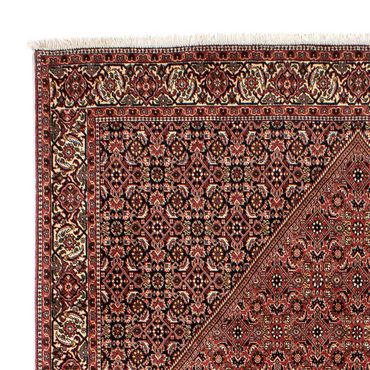 Tapis persan - Bidjar - 288 x 200 cm - marron