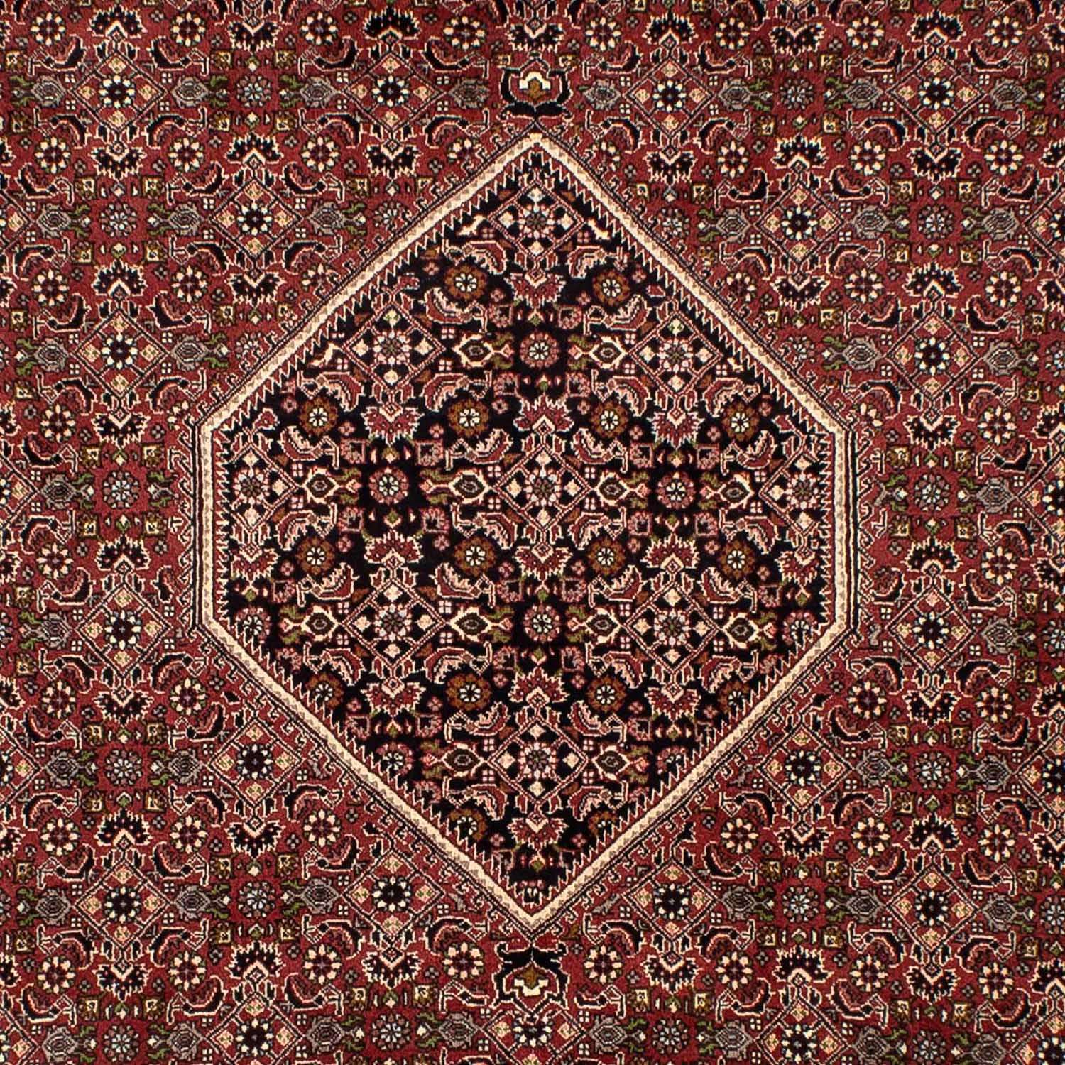 Tapis persan - Bidjar - 300 x 197 cm - marron