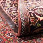 Persisk tæppe - Bijar - 300 x 197 cm - brun