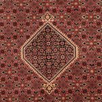 Tapis persan - Bidjar - 296 x 198 cm - marron