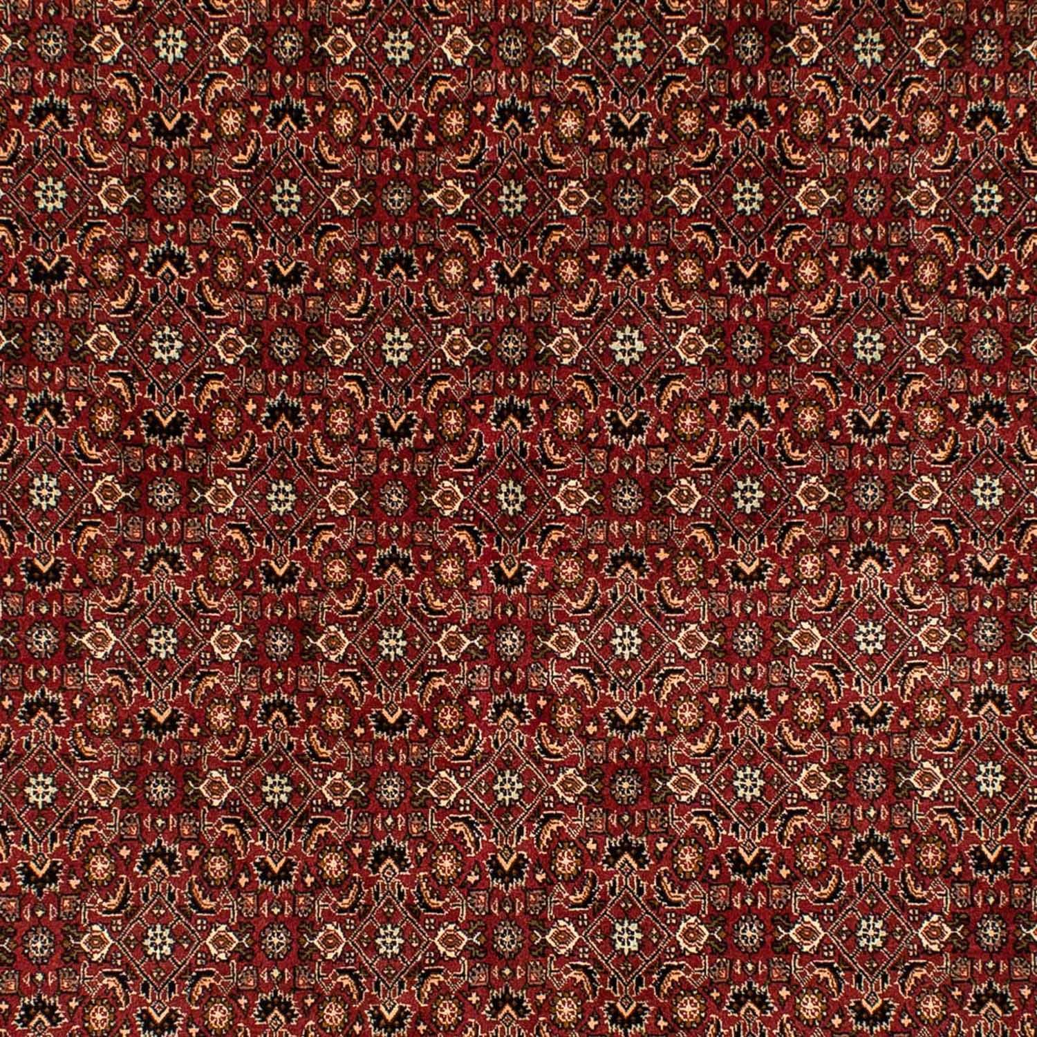 Alfombra persa - Bidjar - 275 x 196 cm - rojo oscuro