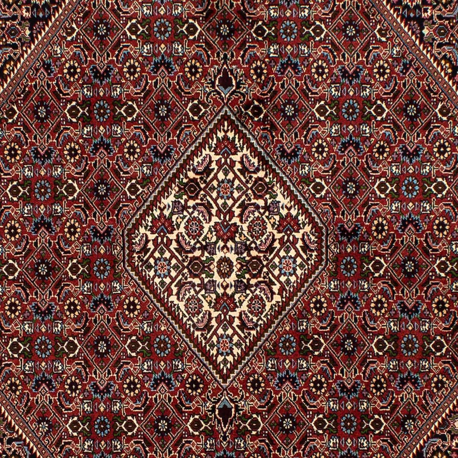 Tapis persan - Bidjar - 250 x 173 cm - marron