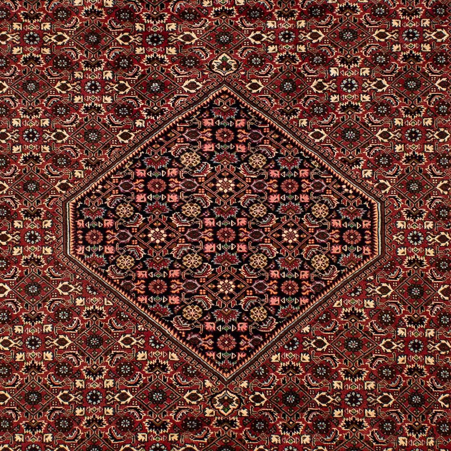 Alfombra persa - Bidjar - 297 x 202 cm - rojo oscuro