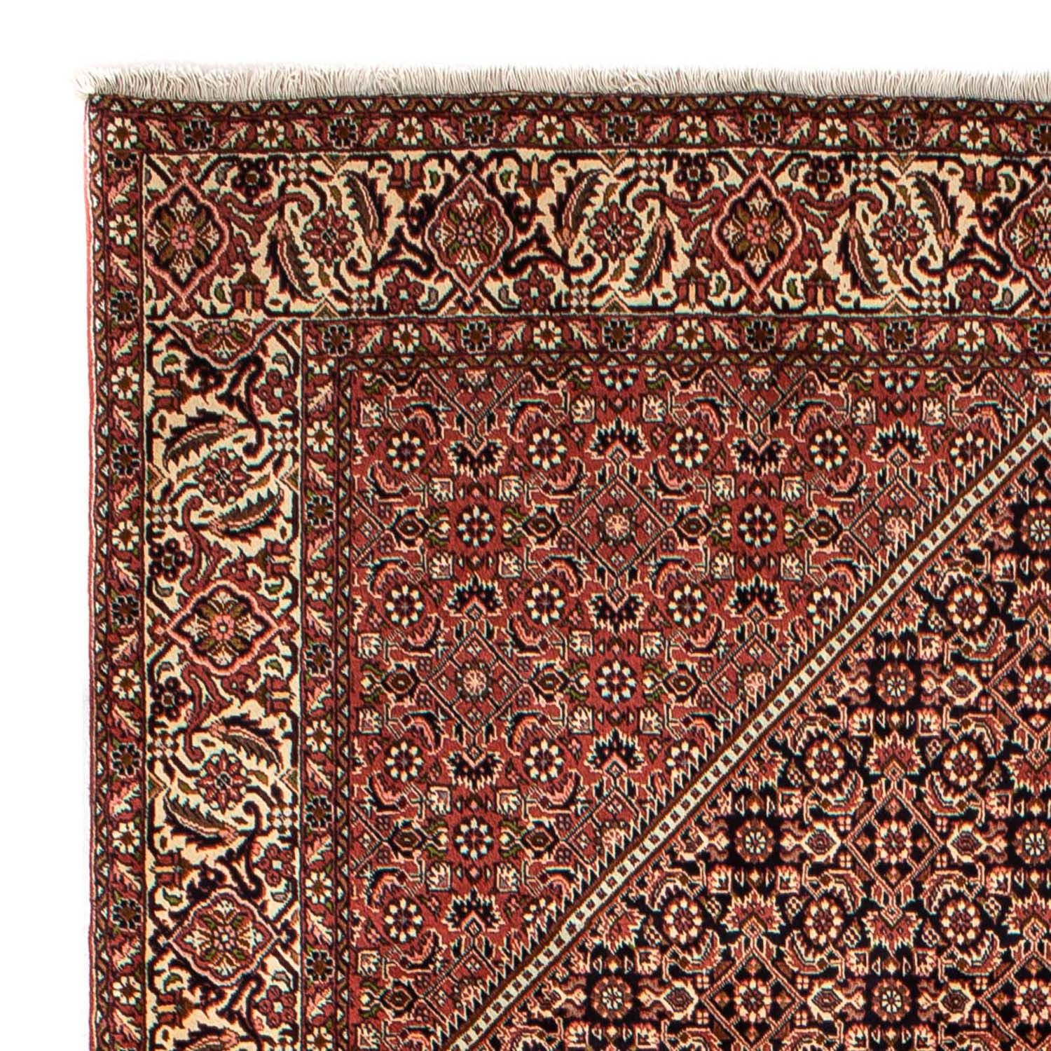 Tapis persan - Bidjar - 296 x 198 cm - marron