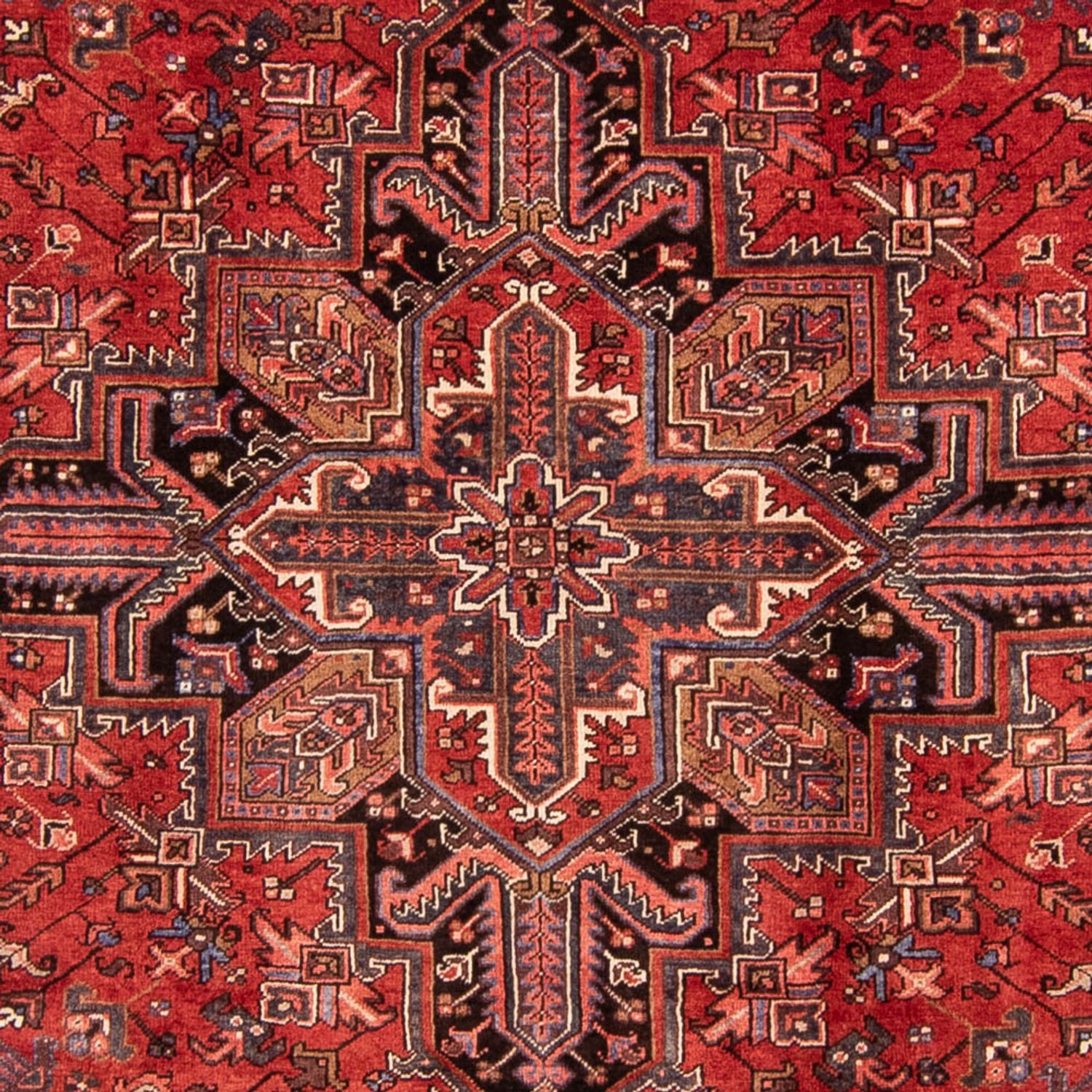 Perser Rug - Nomadic - 328 x 257 cm - dark red