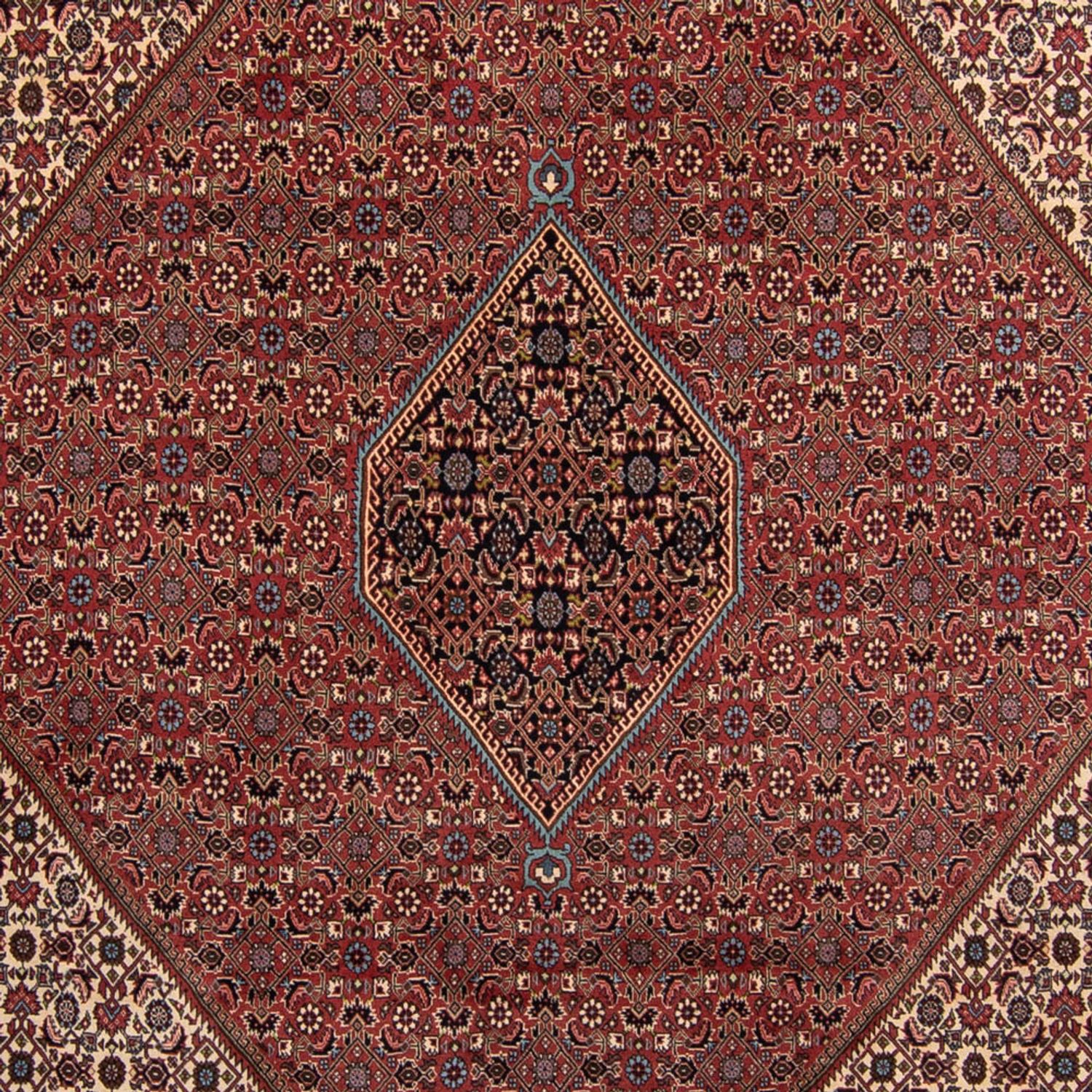 Alfombra persa - Bidjar - 350 x 248 cm - marrón