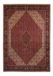 Persisk tæppe - Bijar - 343 x 248 cm - brun