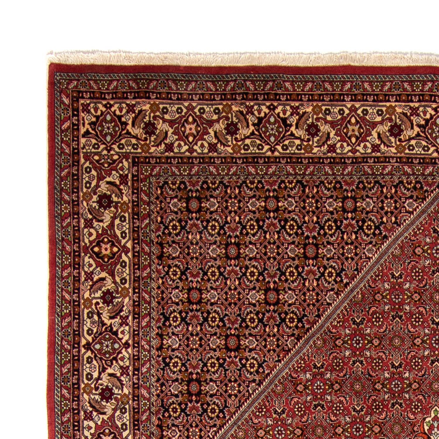 Perser Rug - Bidjar - 338 x 250 cm - brown